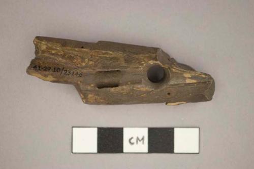 Incised harpoon head of ivory