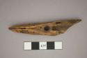 Incised harpoon head of ivory