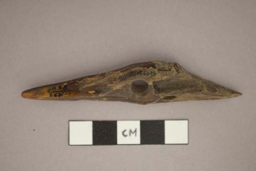 Incised harpoon head of ivory