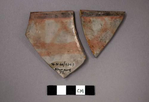 2 rim potsherds