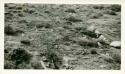 Scan of page from Judge Burt Cosgrove photo album.Slab House on Flat Top East of Petrified Forest Ariz.