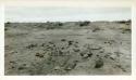 Scan of page from Judge Burt Cosgrove photo album.Basket-maker Site east of Petrified Forest Ariz.