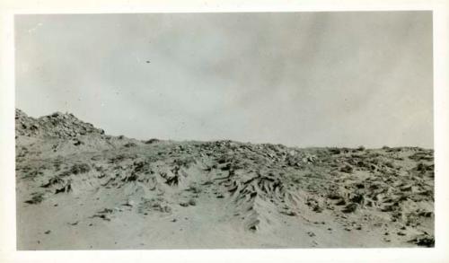 Scan of page from Judge Burt Cosgrove photo album.Site 16 east of Petrified Forest Ariz.