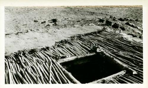 Scan of page from Judge Burt Cosgrove photo album.Rebuilding roof of Room 7-First layer of adobe and juniper bark. over vigas and small poles. Agate House