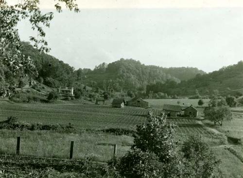 Scan of page from Judge Burt Cosgrove photo album.June 12-1934 Tobacco fields, west of charleston West Va.