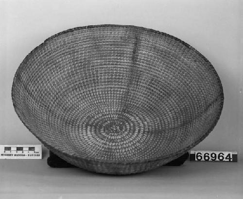 Coiled bowl basket