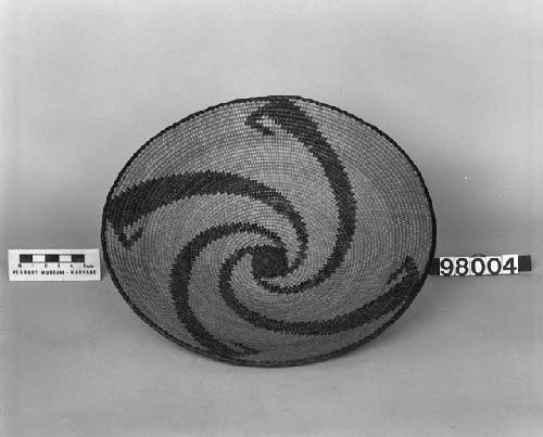 Coiled basket