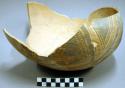 Fragments of jeddito polychrome pottery jar--restorable?