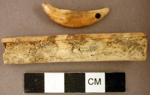 Perforated animal tooth; cut and polished animal bone tube, three fragments crossmend