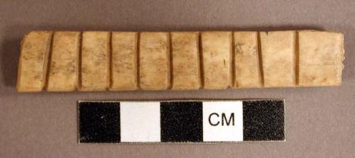 Organic, utilized bone with incised parallel lines