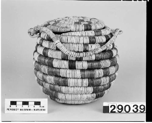 Lidded globular basket from the collection of C.W. Andrus and W. Jones