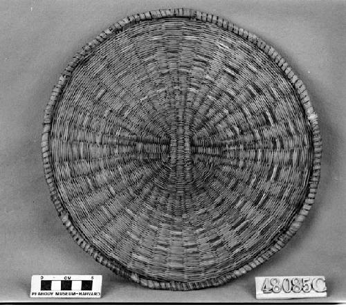 Large tray or plaque from the collection of the Bureau of Ethnology