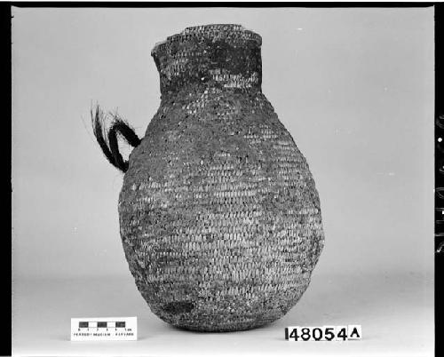 Water jar from the collection of J. Stevenson, 1881