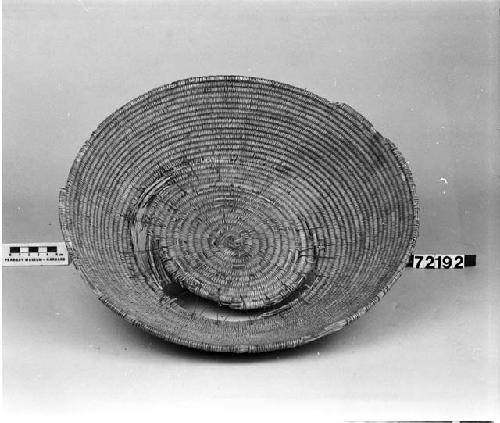 Shallow tray or "wedding" basket from the collection of G. Nicholson