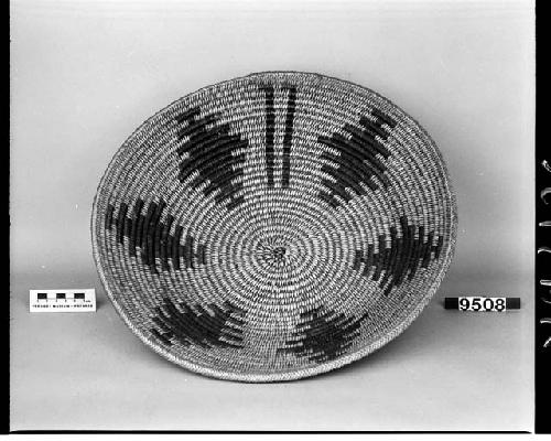 Shallow bowl or "wedding" basket made by Paiute for Navajos