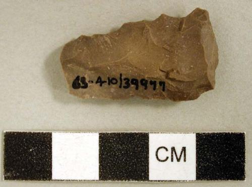 Chipped stone, biface fragment