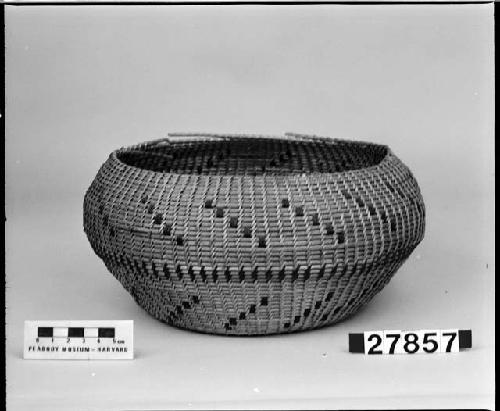 Basket bowl, from the collection of Mrs. P.D. Orcutl, 1914. Open coiled, one-rod foundation.