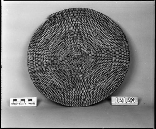 Basketry plate from the collection of E. Palmer, 1877. Coiled, three-rod foundation, non-interlocking and split stitches.