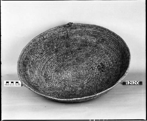 Tray or shallow bowl from the collection of E. Palmer, 1877. Coiled, two-rod foundation, non-interlocking and split stitches.