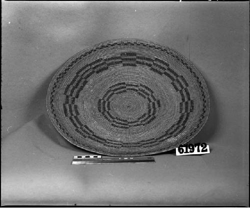 Winnowing tray from unknown collection. Coiled, rod and bundle foundation.