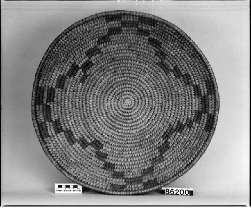 Tray from the collection of G. Nicholson. Coiled, bundle foundation, split stitches, 4x4 plaited start.