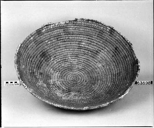 Tray, from a collection through G. Nicholson. Coiled.