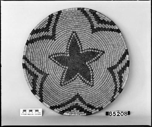 Tray from the collection of C.C. Willoughby. Coiled.