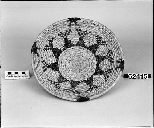 Tray from the collection of T.V. Keam, 1894-1895. Coiled.