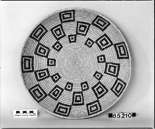 Tray from the collection of C.C. Willoughby. Coiled.