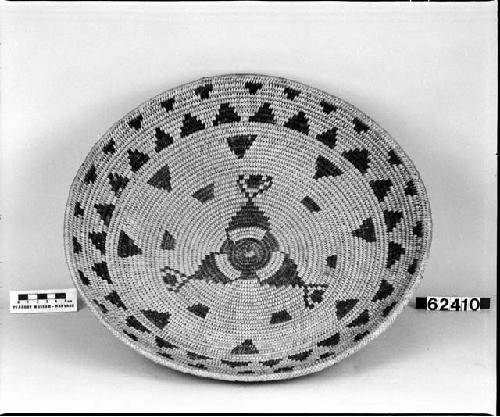 Tray from the collection of T.V. Keam, 1894-1895. Coiled.