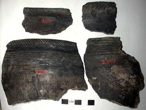 Sherds