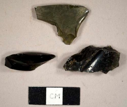 Olive green bottle glass fragments, including one 20th century base fragment