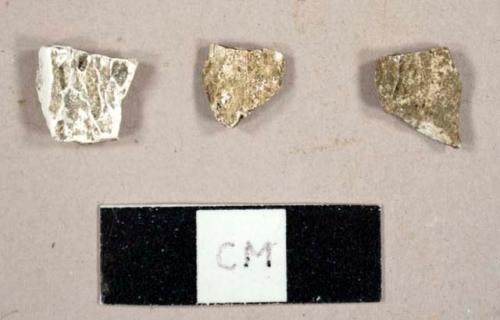 Faunal bone fragments with evidence of burning