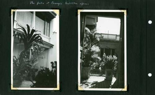 Scan of page from Judge Burt Cosgrove photo album.The patio at Carnegie Institution office