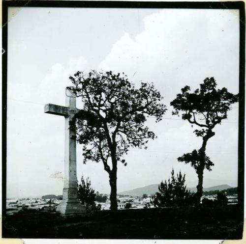 Scan of photograph from Judge Burt Cosgrove photo album.Avacado tree in front of cross