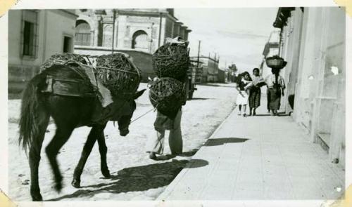 Scan of photograph from Judge Burt Cosgrove photo album.Bringing charcoal to market-Man and mule carry equal amount