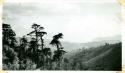 Scan of photograph from Judge Burt Cosgrove photo album.Chichoy Pass Volcanoes Atitlan-San Lucas and San Pedro in hazy background