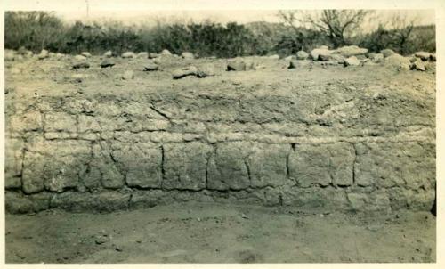 Scan of photograph from Judge Burt Cosgrove photo album. East wall room (2)