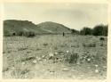 Scan of photograph from Judge Burt Cosgrove photo album.Pueblo Ruin at Swarts Ranch, Mimbres Valley, Grant Co., Swarts Ranch, Mimbres Valley, Grant Co., New Mex. 1922
