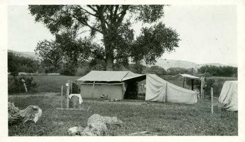 Scan of photograph from Judge Burt Cosgrove photo album.Camp, Swarts Ranch 1925