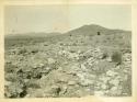Scan of photograph from Judge Burt Cosgrove photo album.  Old Town Ruin on Mimbres River east of Faywood New Mex.