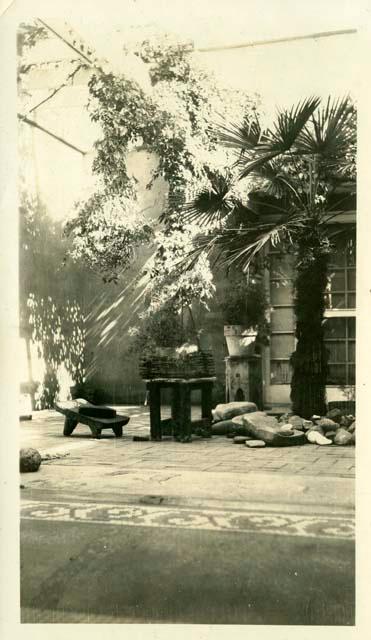 Scan of photograph from Judge Burt Cosgrove photo album.  Patio D.B. Smith residence