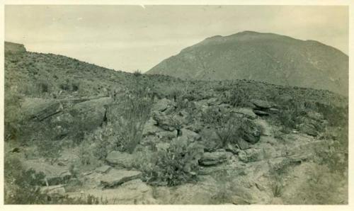 Scan of photograph from Judge Burt Cosgrove photo album. Wind Mt to North west