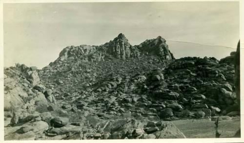 Scan of photograph from Judge Burt Cosgrove photo album. Coraudas del Alamo (Horns of the cotton wood) N.E. of El Paso Tex. in New Mex.