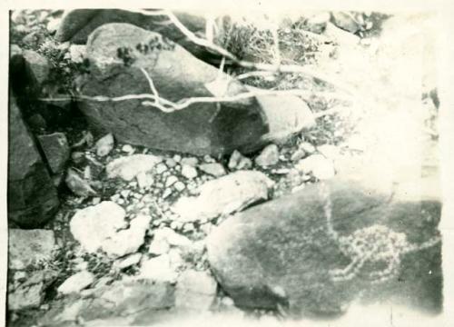 Scan of photograph from Judge Burt Cosgrove photo album. Petroglyph