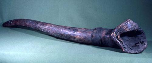 Large war trumpet of wood with two holes