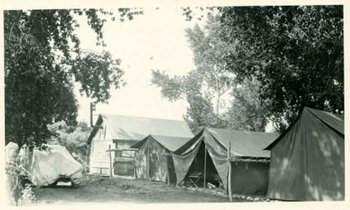 Scan of photograph from Judge Burt Cosgrove photo album. Park Avenue Camp at Swarts 1926