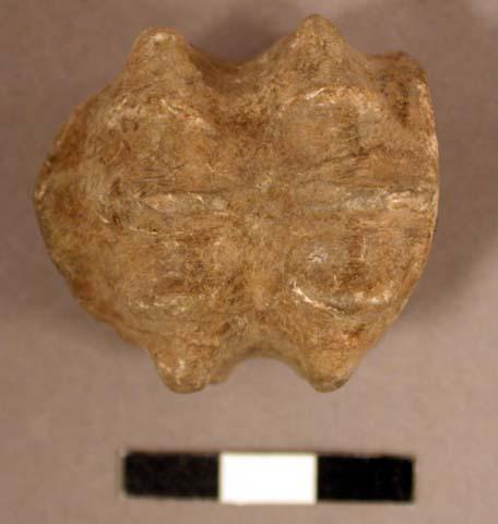 Stone fossil, irregular shape