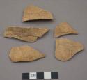 Organic, faunaul remains, turtle shell fragments