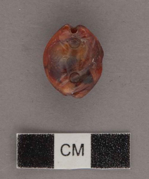 Carnelian seal, showing an animal - shape: glandular